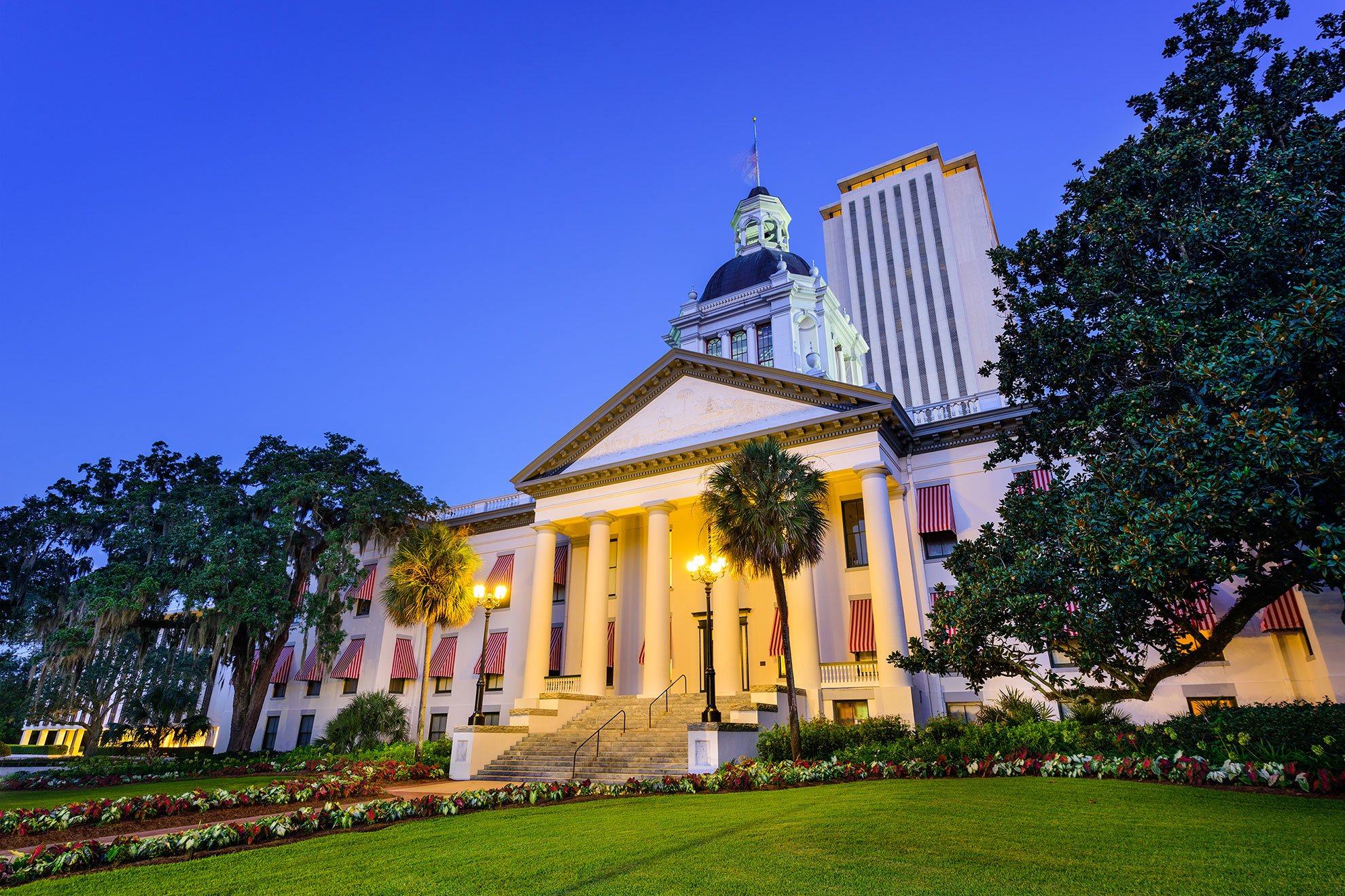 NewFlorida-hero-image